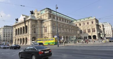 Виена представи стратегия за адаптация към климатичните промени в историческия център